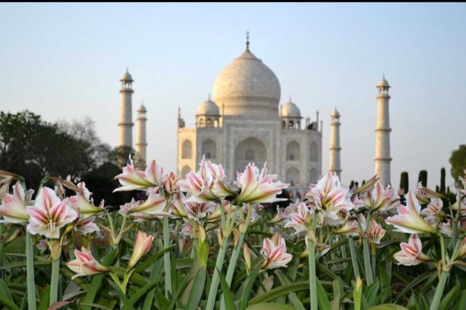06 Days Golden Triangle Tour with Ranthambore Safari - Key points to know before you go