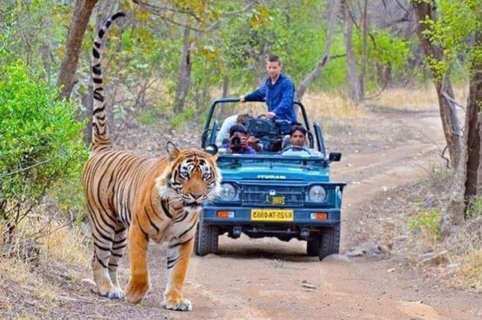 06 Days Golden Triangle Tour with Ranthambore Safari - The big idea: Golden Triangle, but with a safari spine