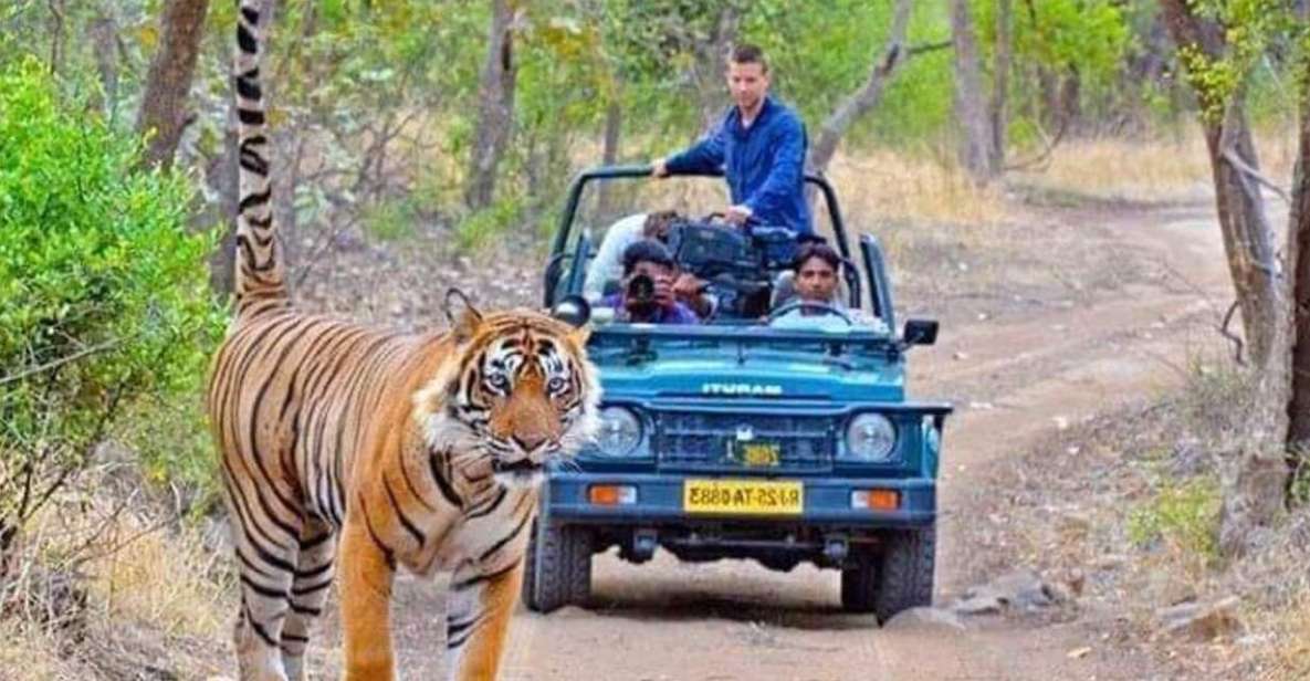 06 Days Golden Triangle Tour with Ranthambore Safari - Day 2: Delhi highlights—India Gate, Qutub Minar, and Humayun’s Tomb