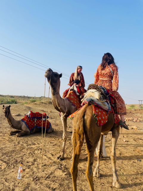 1 night 2 days Thar Desert Experience Jaisalmer - Night in the Desert Camp: Stars, Wind, and Getting Your Body to Chill