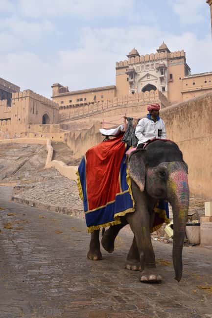 7-Day Golden Triangle Jodhpur Udaipur Tour from Delhi - Key things that make this tour work