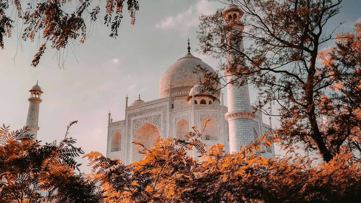 7-Day Golden Triangle Jodhpur Udaipur Tour from Delhi - Day 3: Jaipur and Amer Fort with Jantar Mantar and City Palace sights