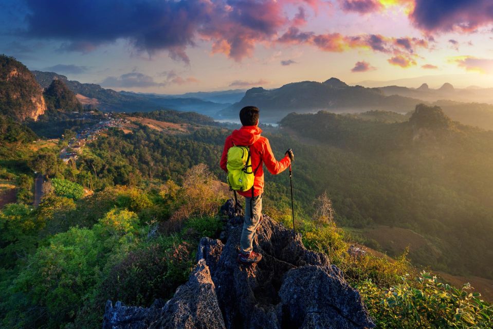 A Day in Munnar: Nature, Culture, and Local Flavor - Pothamedu Hill Trek: Views, Fresh Air, and Guided Timing