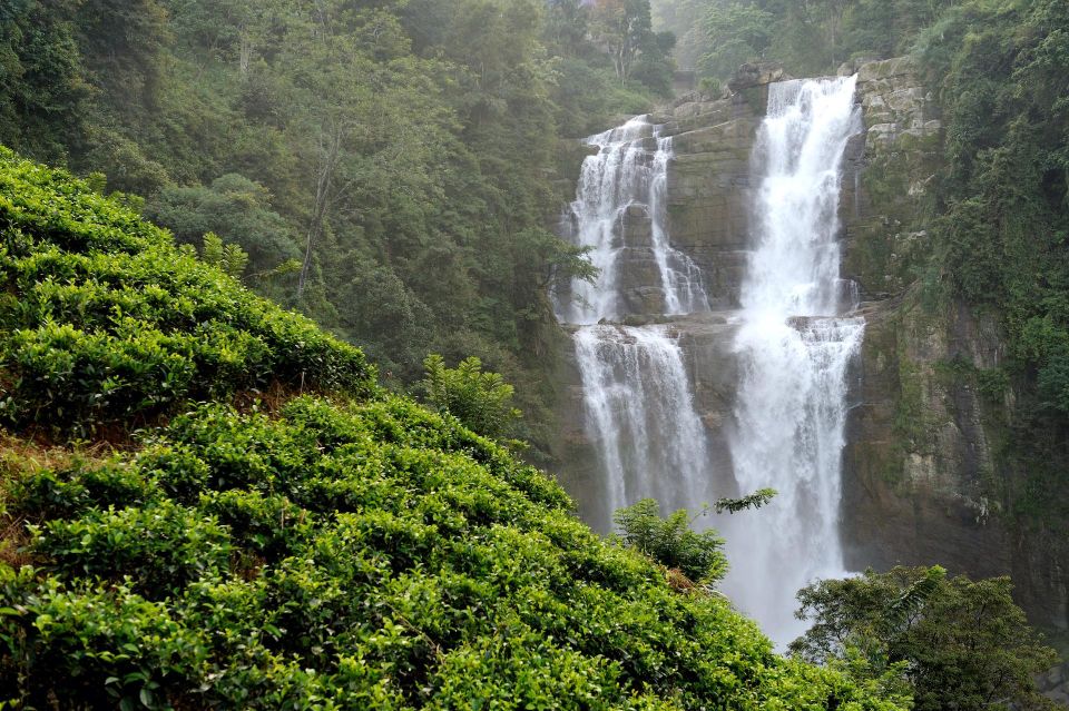 A Day in Munnar: Nature, Culture, and Local Flavor - Practical Tips So You Don’t Have a Rough Day