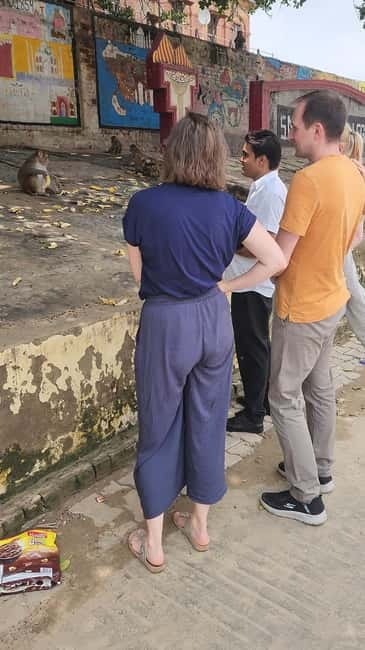Agra: Monkey Safari Guided Walking Tour - Photo Stops, Street Views, and When the Best Moments Happen