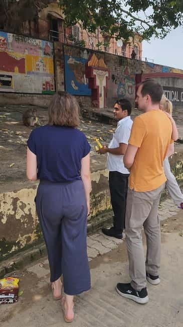 Agra: Monkey Safari Guided Walking Tour - Value for $54: What You’re Really Paying For