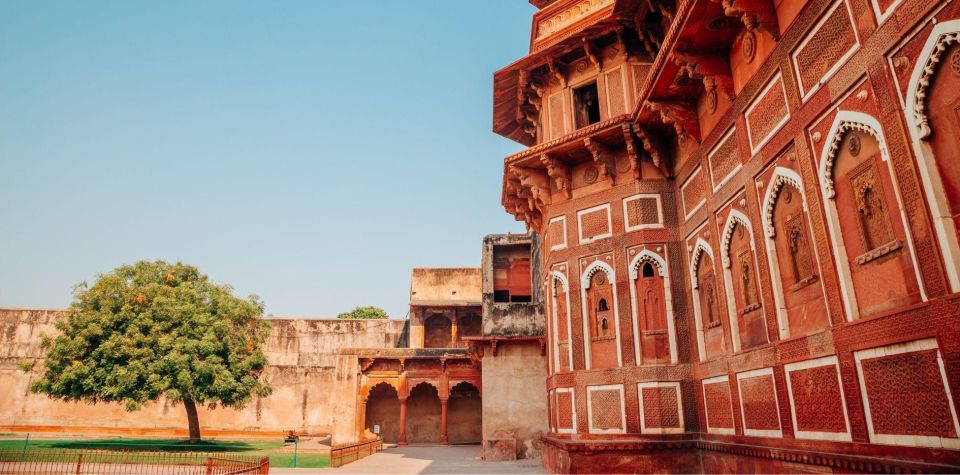 Agra: Taj Mahal Sunrise & Agra Fort Full Day City Tour - Lunch in Mughlai Style (If Your Package Includes It)