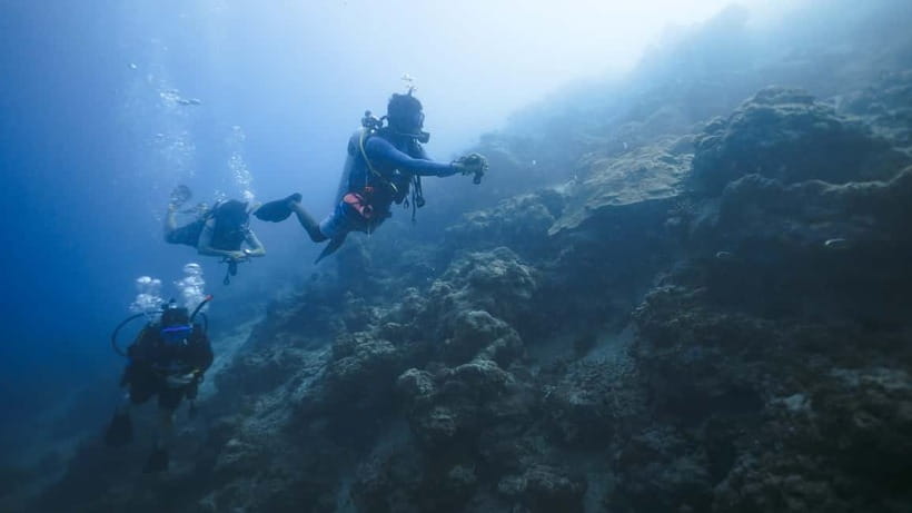 Andaman: Havelock Scuba Diving by PADI 5-Star Dive Center - Why this Havelock scuba session feels worth your time