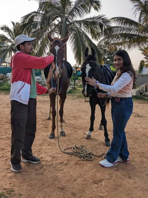 Bangalore: Horse Riding Safari Tour - Meet your horse: feeding, brushing, and building trust