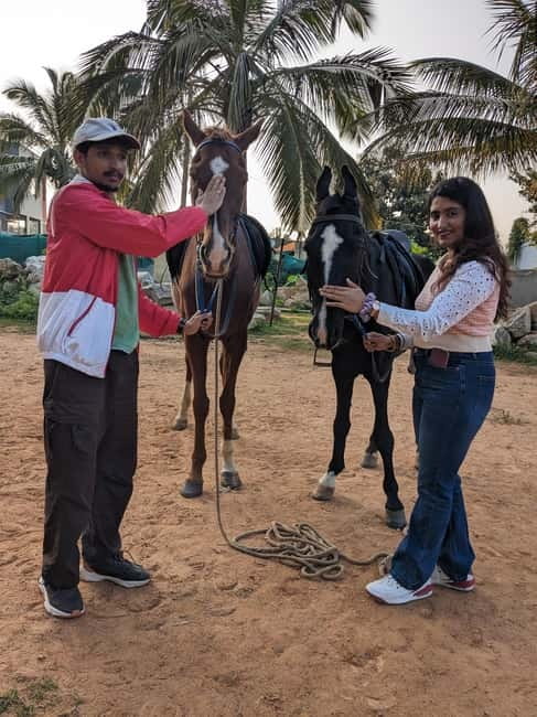 Bangalore: Horse Riding Safari Tour - Price and value: $120 per person for a guided horse safari