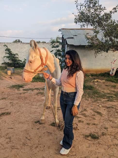 Bangalore: Horse Riding Safari Tour - Getting to Kalyan Nagar and finding the start point fast