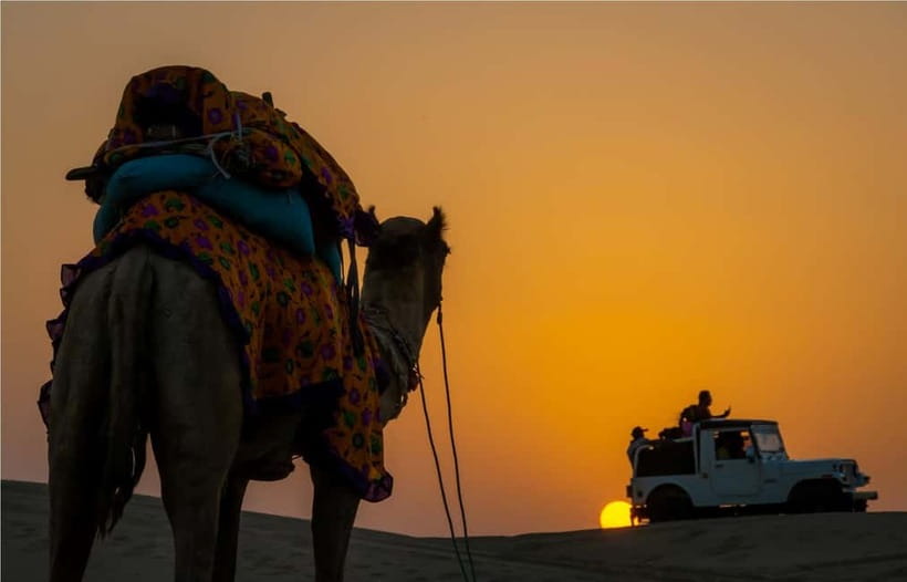 Blissful Half Day Sunset Camel Safari with Musical Evening - Camel safari in the dunes: what you’re really doing