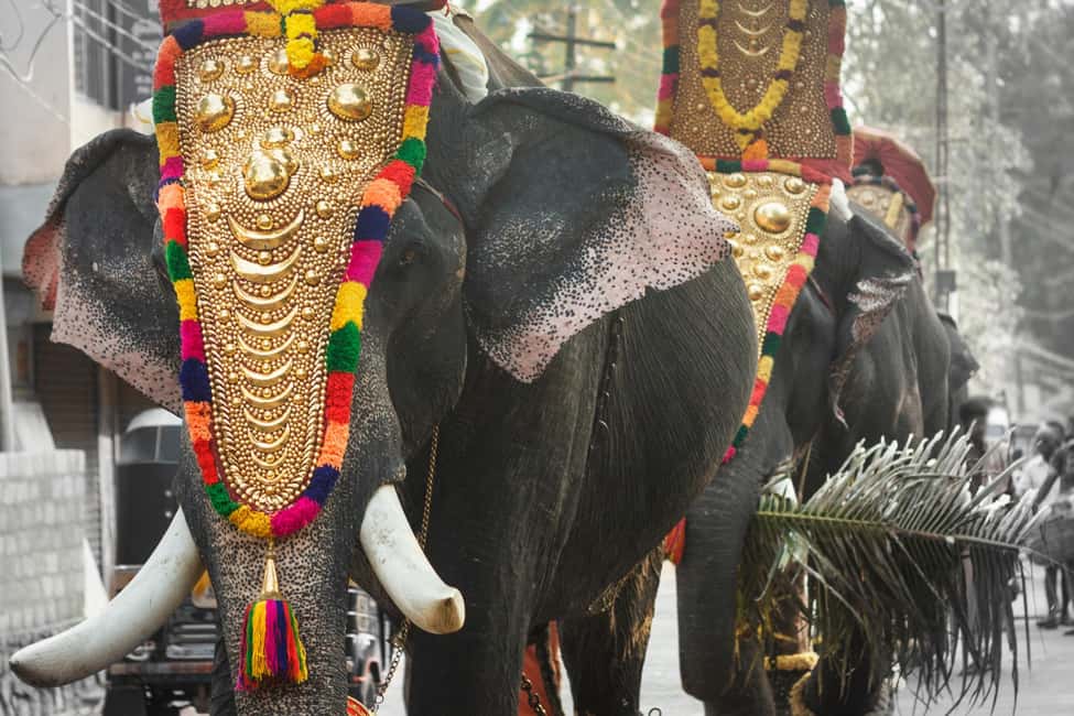 Cochin: 5-Day Munnar, Thekkady, and Alleppey Tour - Key things to know before you go