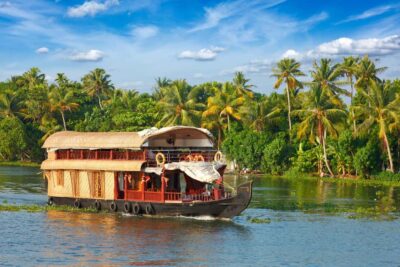 Cochin: 5-Day Munnar, Thekkady, and Alleppey Tour - Day 1: Cochin to Munnar with Tea Museum stops and an optional evening show