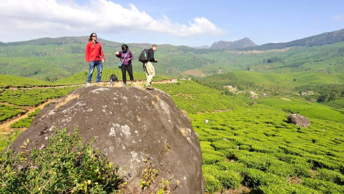 Cochin: 5-Day Private Tour of Munnar, Alleppey & Backwaters - Thekkady and Periyar Lake: Wildlife time with less guesswork
