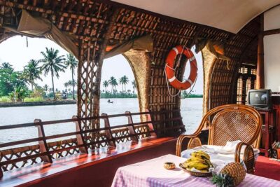 Cochin: 5-Day Private Tour of Munnar, Alleppey & Backwaters - Eravikulam National Park and Mattupetty Dam: Munnar’s best “wow” factor