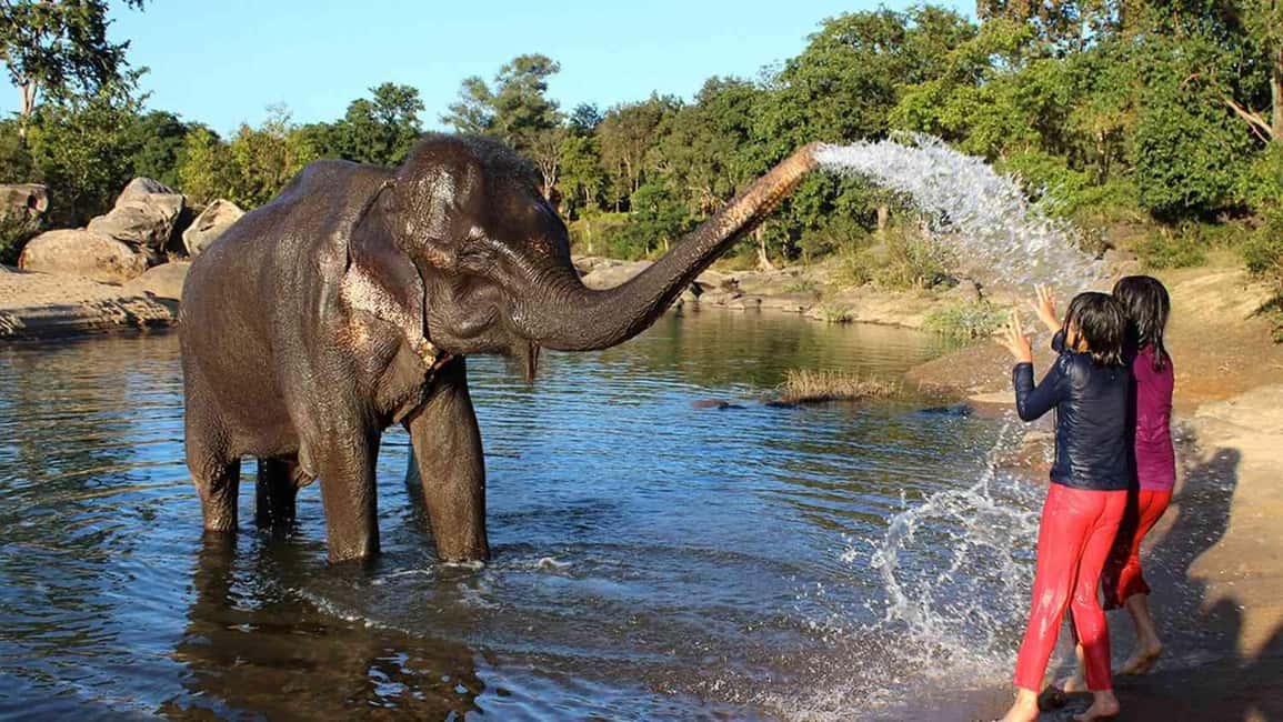 Cochin: 5-Day Private Tour of Munnar, Alleppey & Backwaters - Timing, pacing, and who should choose this route