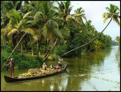 Cochin: Alleppey Backwater Private Day Cruise by Houseboat - Cochin port pickup and meeting point at Sagarika Cruise Terminal