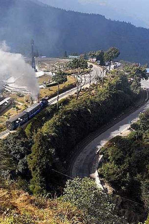 Darjeeling: Full-Day Guided Sightseeing Tour by Car - Who this Darjeeling day tour fits best