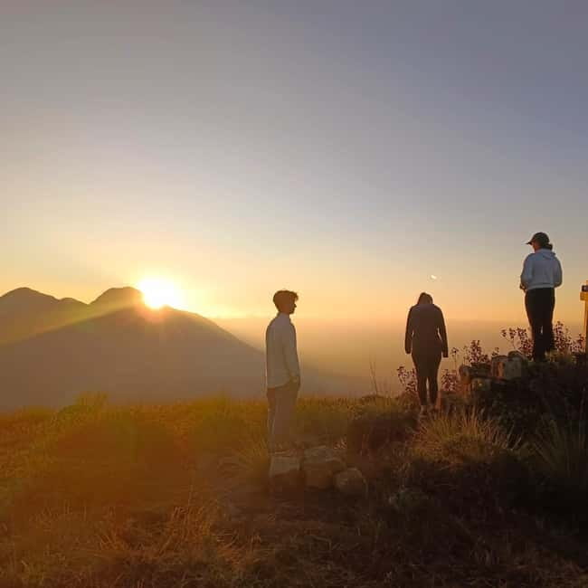 Dawn's Embrace: Sun Rise Trek at Lakshmi Hills, Munnar - Tea Museum: demo, tasting, and why it changes how you see the hills