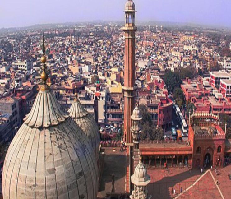 From Delhi: 4-Days Golden Triangle Tour & Ranthambore Safari - Day 3 Ranthambore safari timing and the drive to Jaipur’s first evening