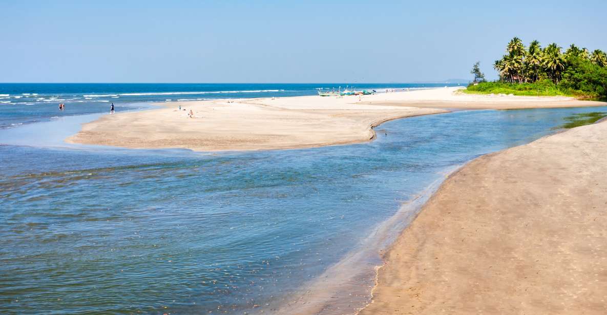 Goa: Beautiful Goa Beach Tour - Ashwem Beach: the relaxed middle stop that lets you actually breathe