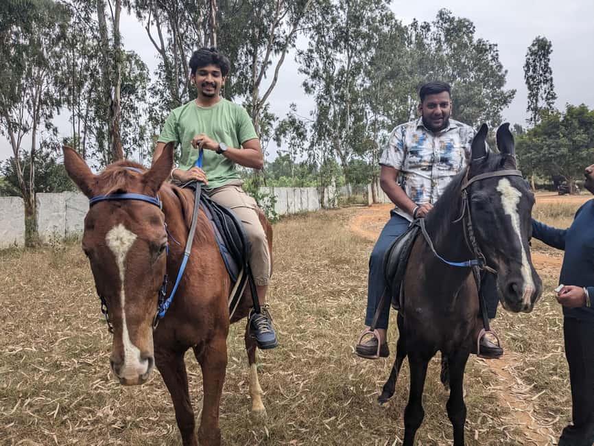 Nandi hills trek sunset or sunrise drive from Bangalore - The countryside add-on: cows, sheep, village life, and organic farming